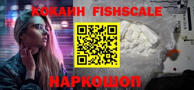 СК Донецк
