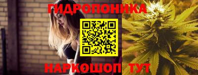 СК Донецк