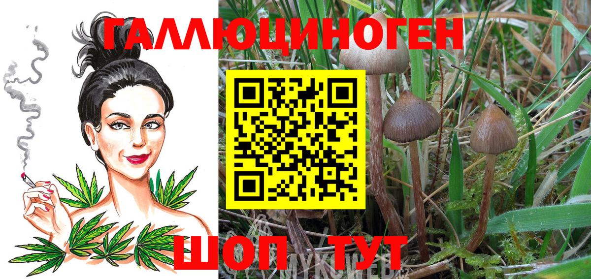 Псилоцибиновые грибы мицелий  Псилоцибиновые грибы Cubensis  где найти наркотики  Вход с VPN  Мытищи 